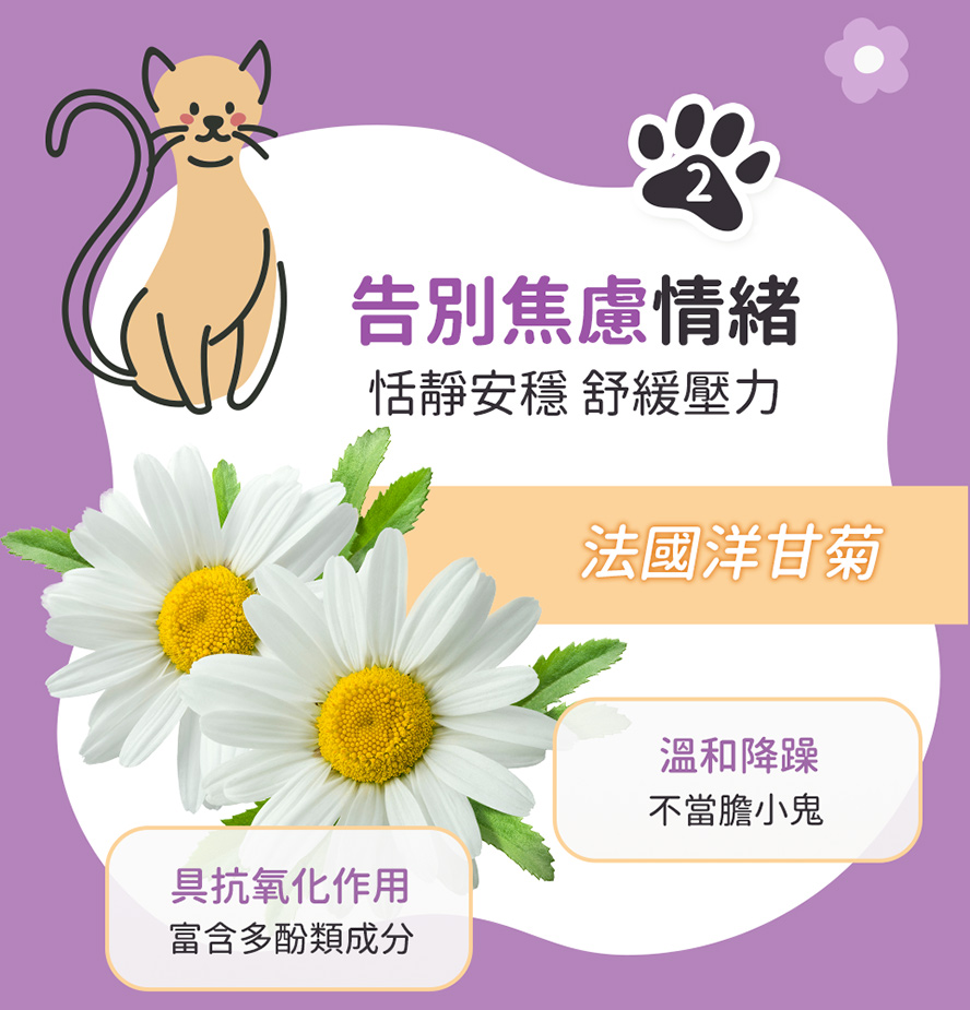 法國洋甘菊富含多酚成分，穩定犬貓心情。