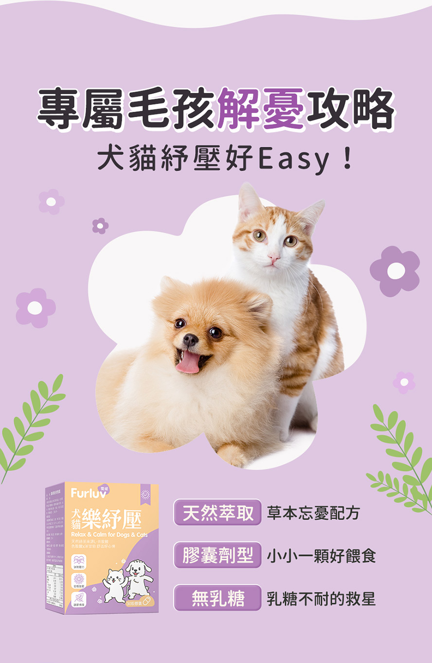 毛孩壓力大怎麼辦？寵物舒壓保健品首推Furluv樂球