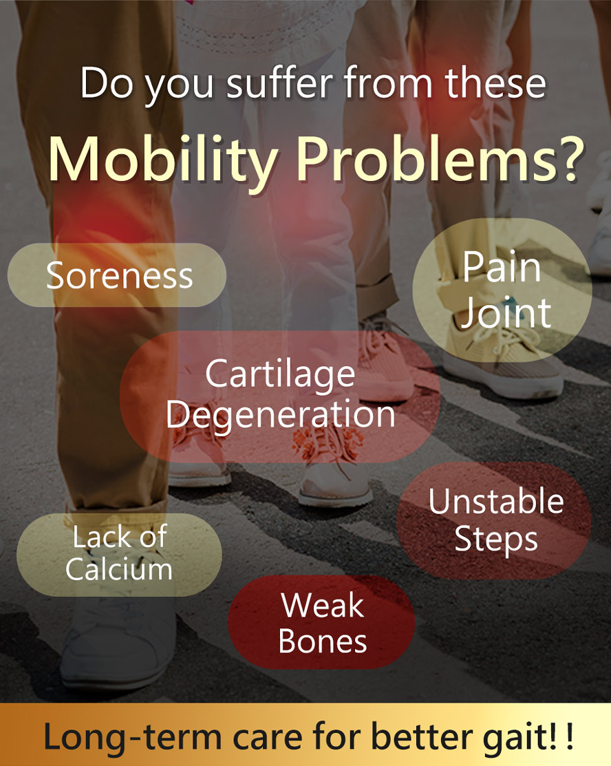Joint and gait support for cartilage degenaration, weak bones, unstable steps, and pain joint